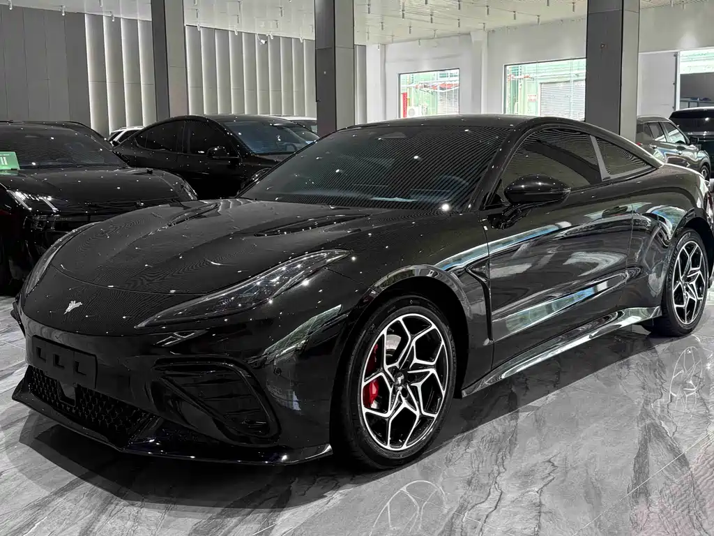 Neta Neta GT — миниатюра 27