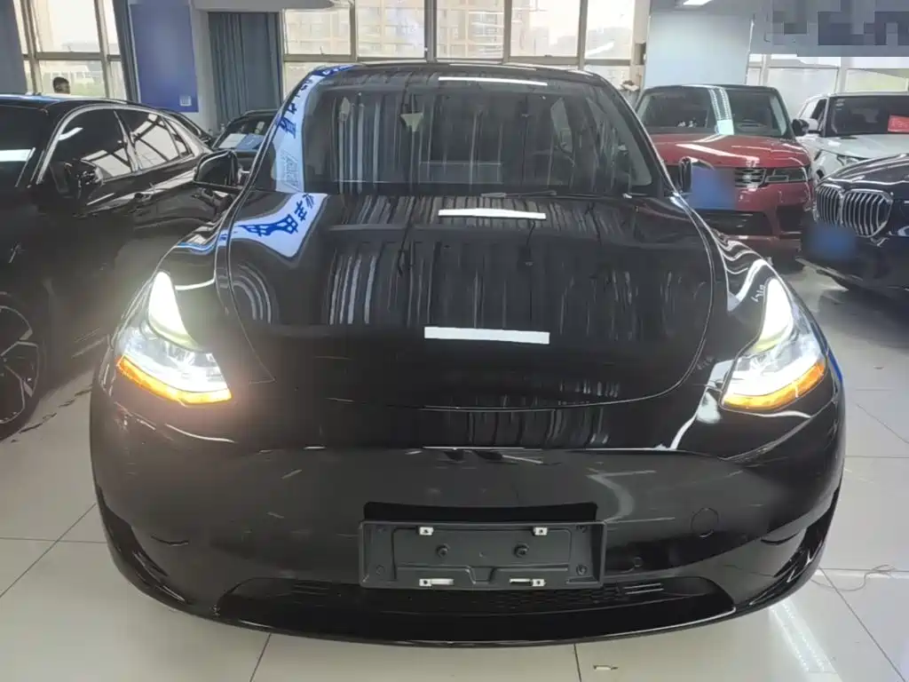 Tesla Model Y — миниатюра 3