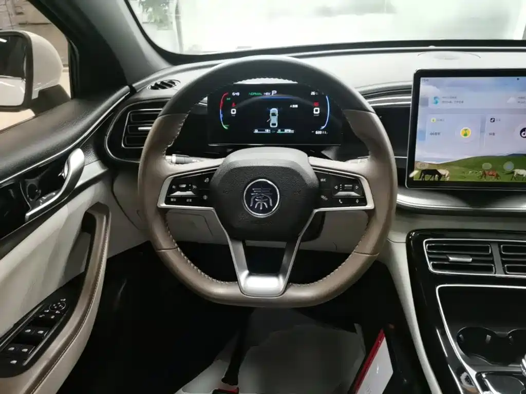 BYD Qin PLUS — миниатюра 11