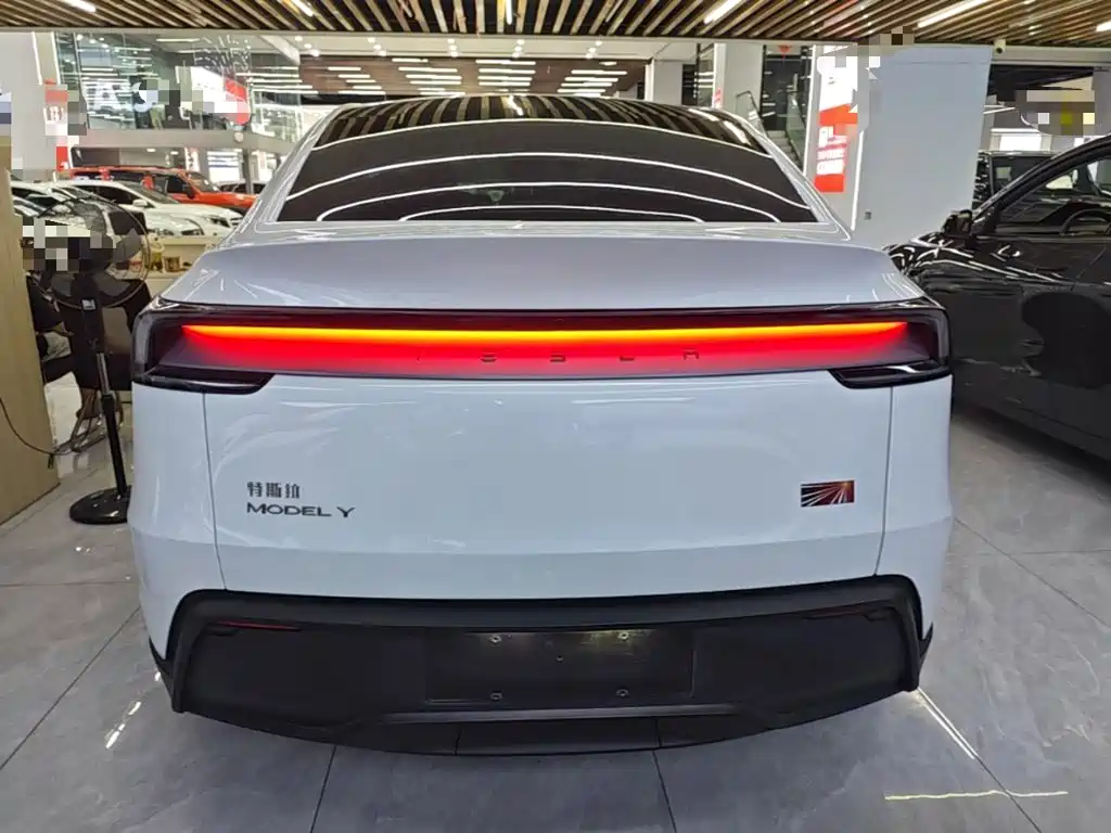 Tesla Model Y — миниатюра 6