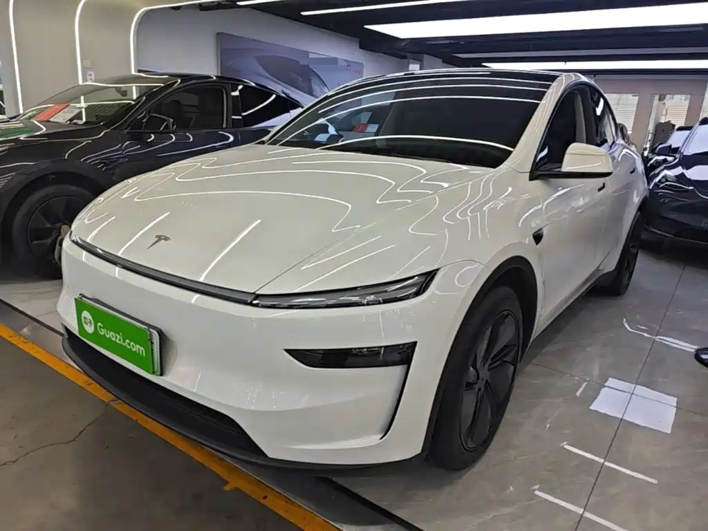 Tesla Model Y — миниатюра 2