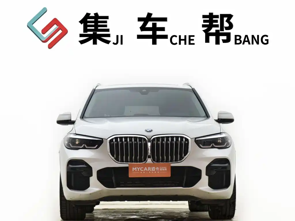 BMW X5 (Import) — миниатюра 2