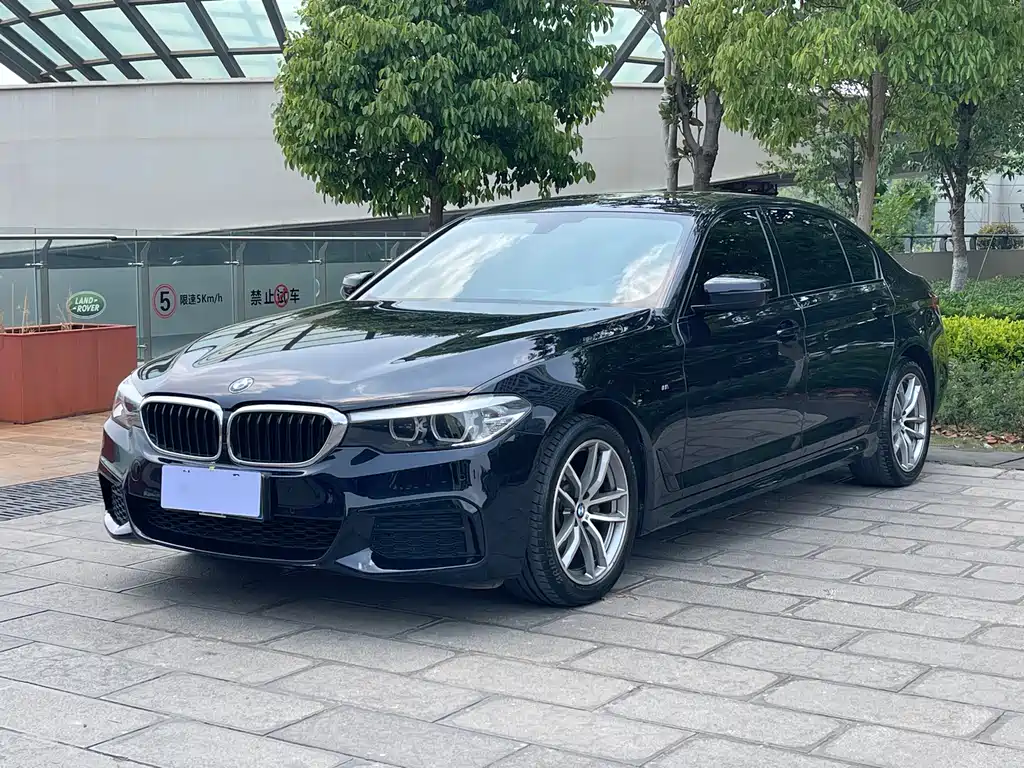 BMW 5 Series 2019