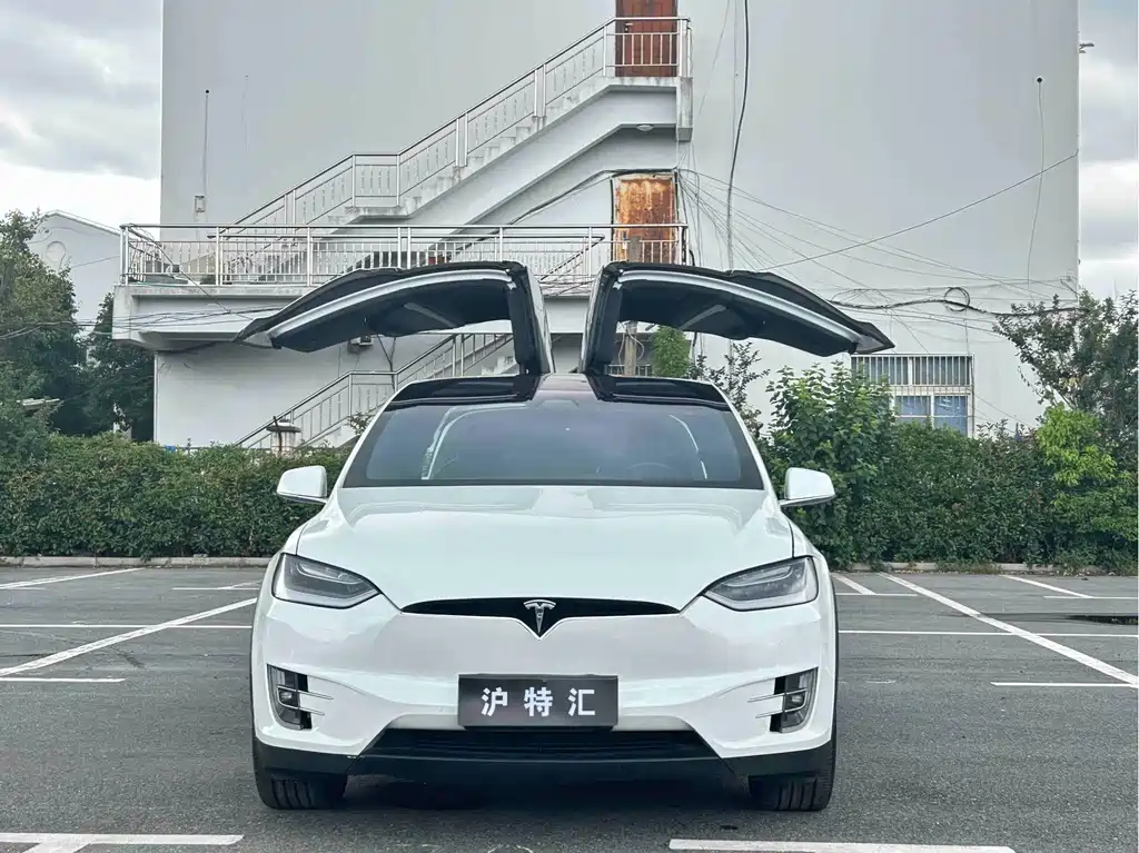 Tesla Model X — миниатюра 2