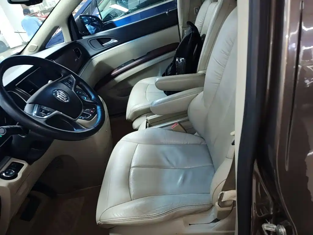Buick GL8 — миниатюра 15