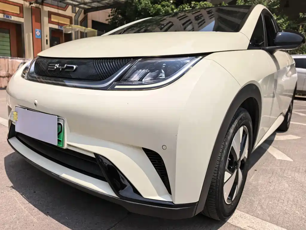 BYD Dolphin 2023 420km Fashion