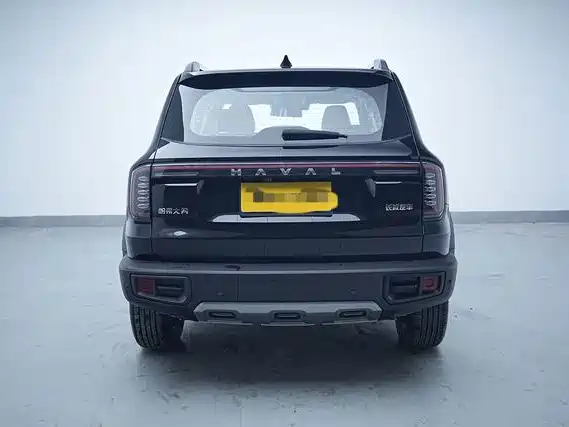Haval Big Dog — миниатюра 11