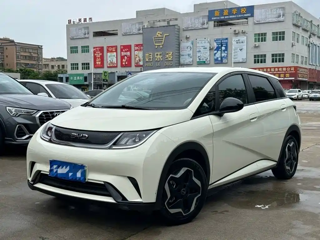 2025 BYD Dolphin - zdjęcie 1 z 9