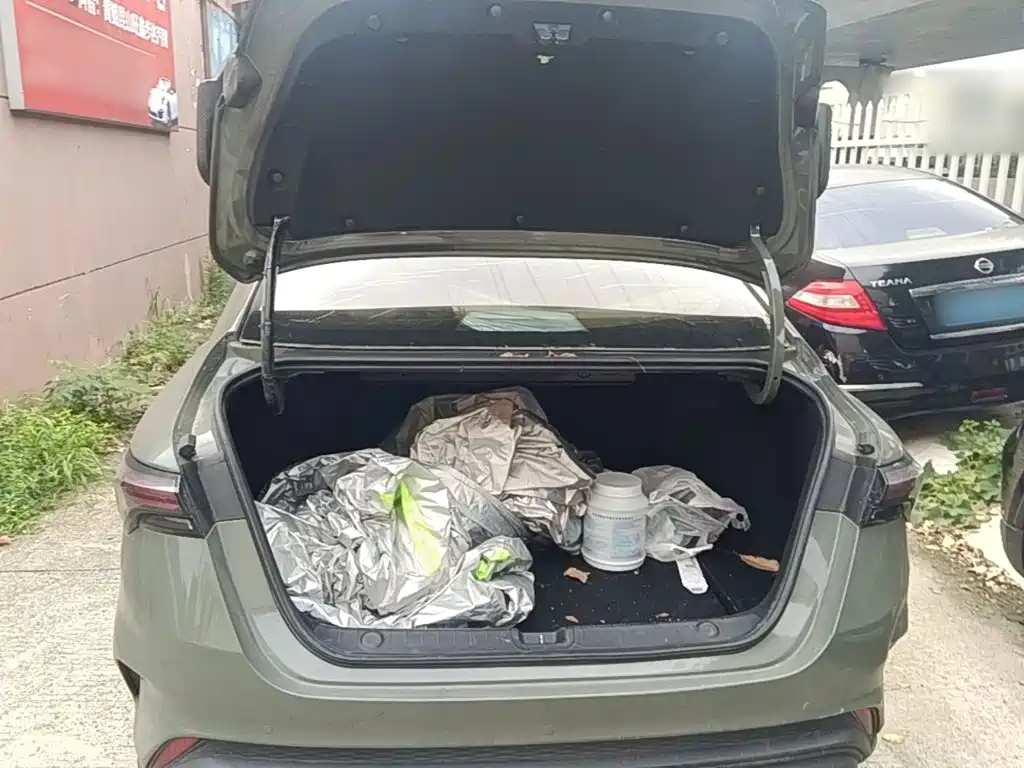 Geely Binrui — миниатюра 19