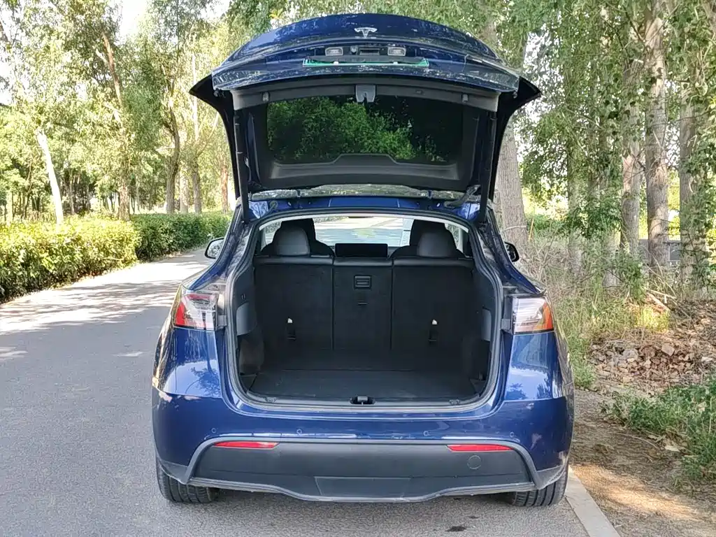 Tesla Model Y — фотографии объявления, Фото 14
