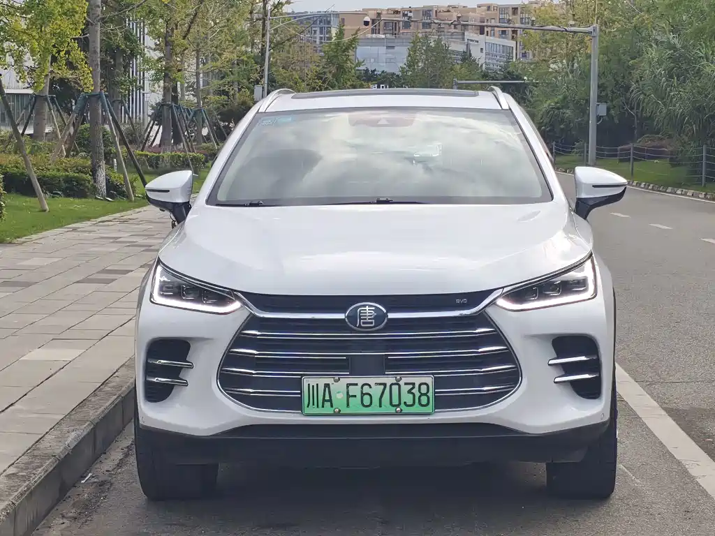 BYD Tang New Energy — миниатюра 2