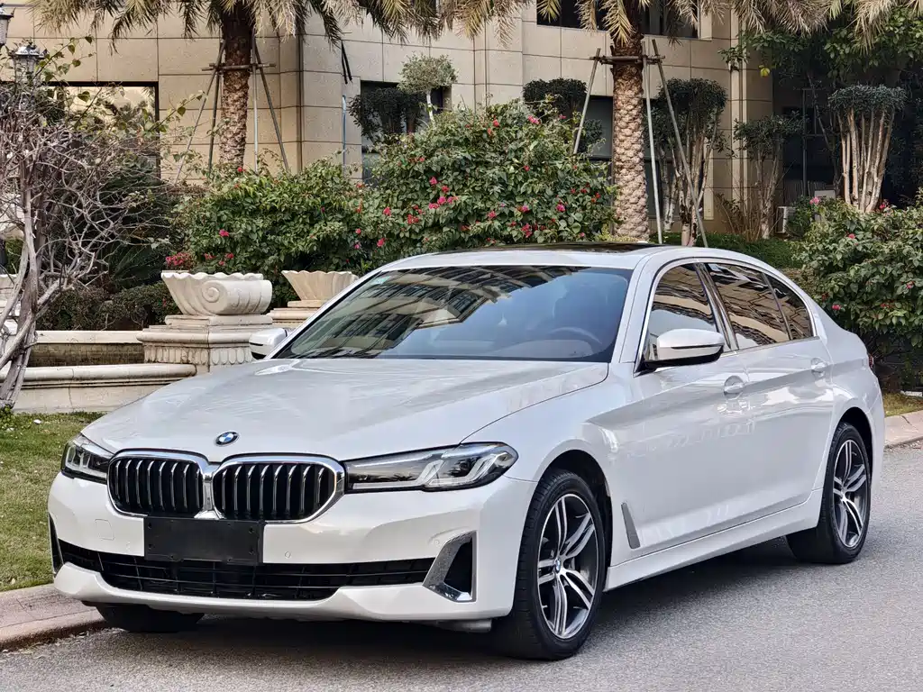 BMW 5 Series 2021