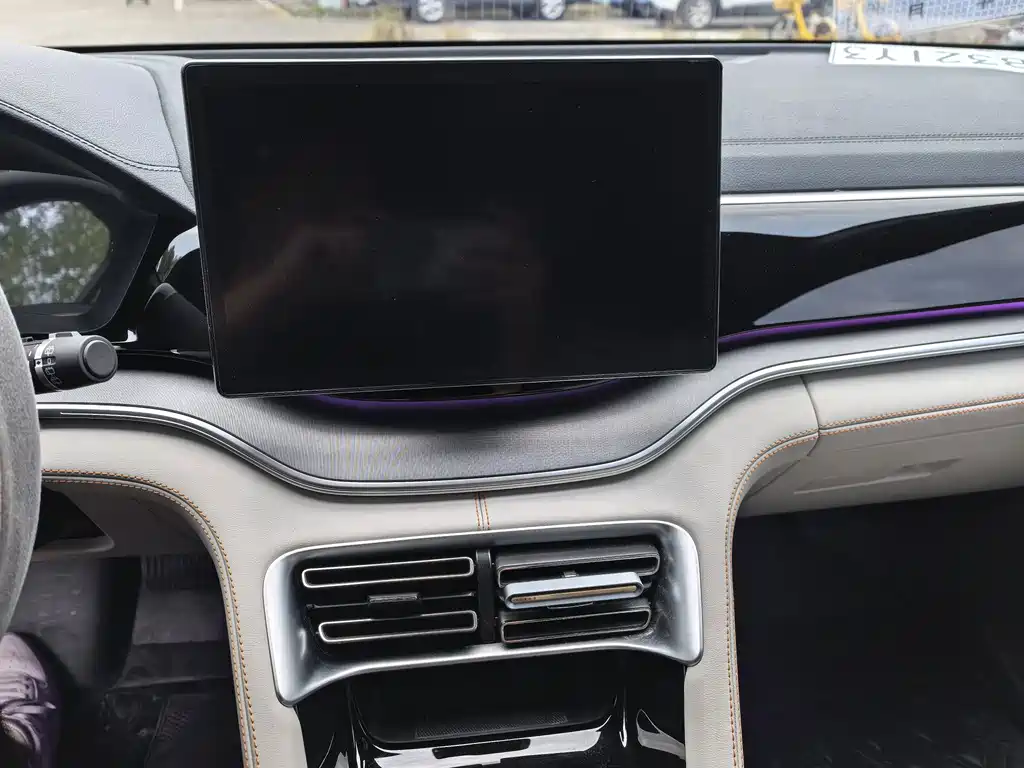 BYD PLUS New Energy — миниатюра 21