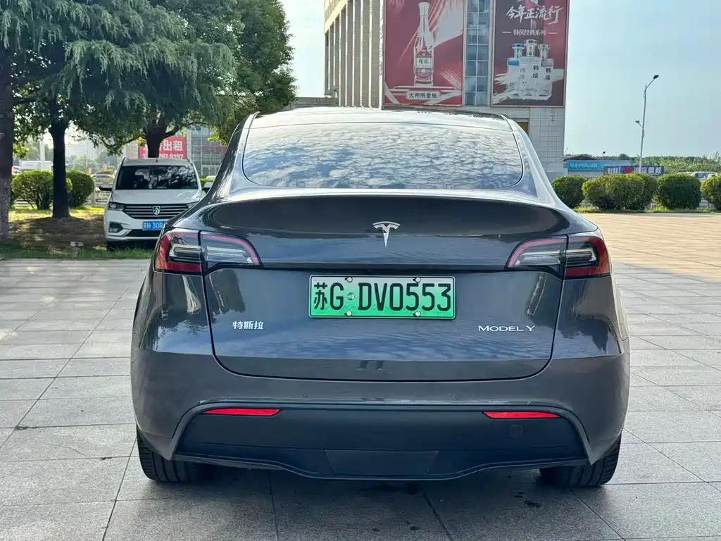Tesla Model Y — миниатюра 8
