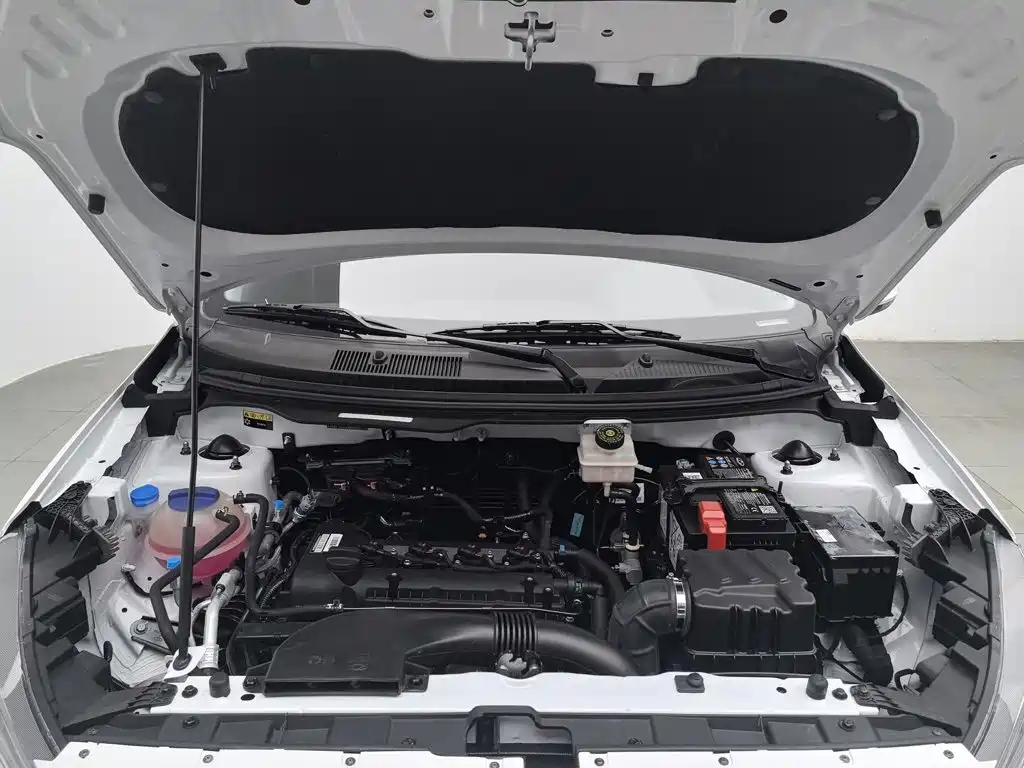 Chery Tiggo 3x — миниатюра 6