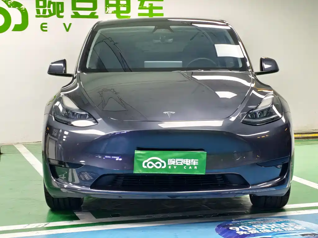 Tesla Model Y — миниатюра 3