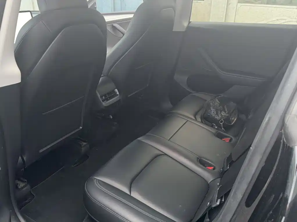 Tesla Model Y — миниатюра 22