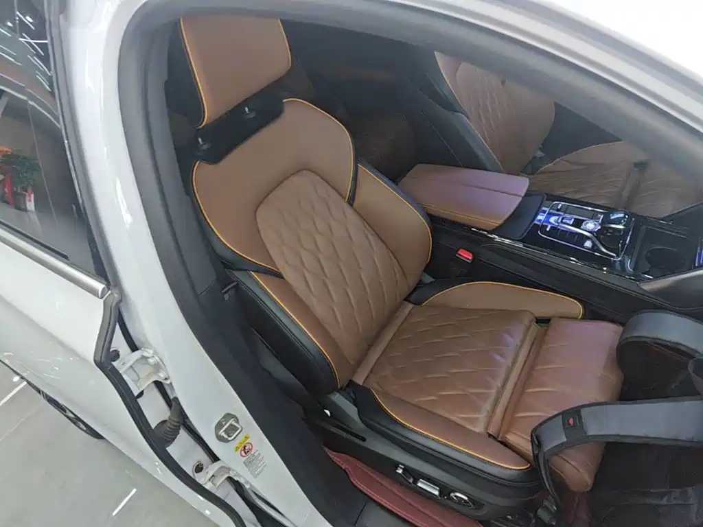BYD Tang New Energy — миниатюра 25
