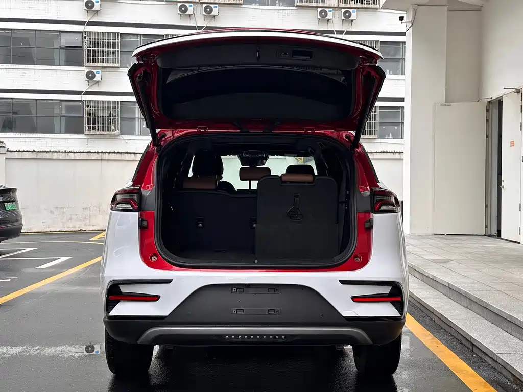 BYD Tang New Energy — миниатюра 10