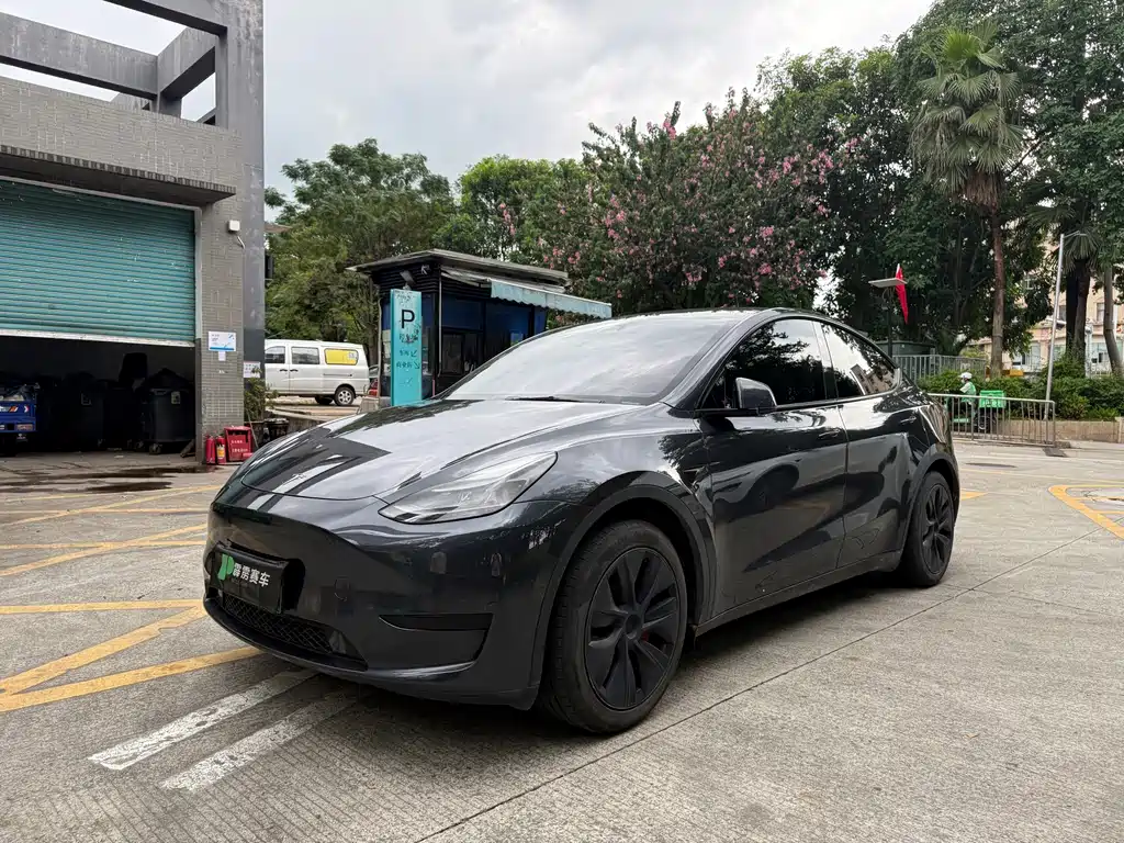 Tesla Model Y — миниатюра 3