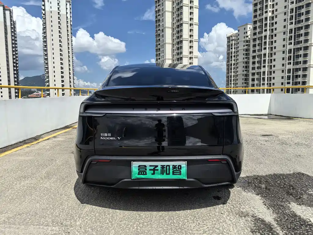 Tesla Model Y — фотографии объявления, Фото 16