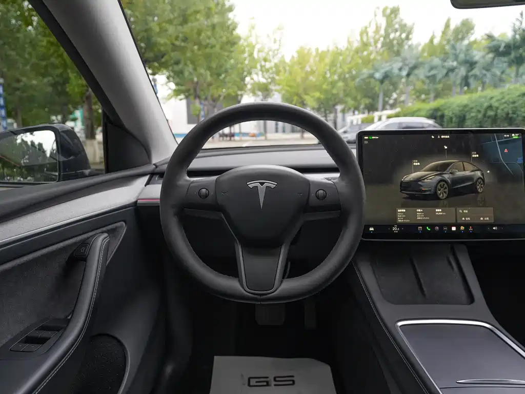 Tesla Model Y — миниатюра 12