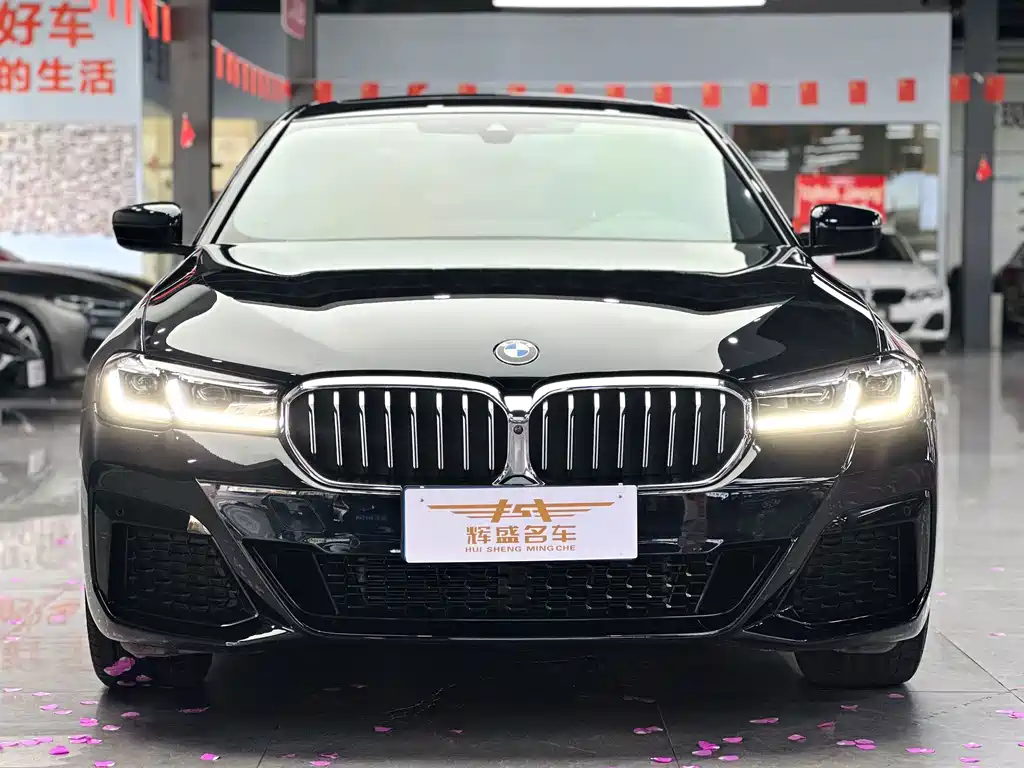 BMW 5 Series — миниатюра 2