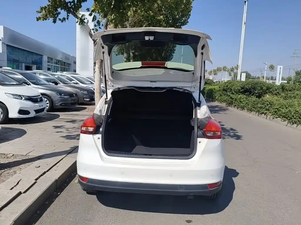Ford Focus — миниатюра 19
