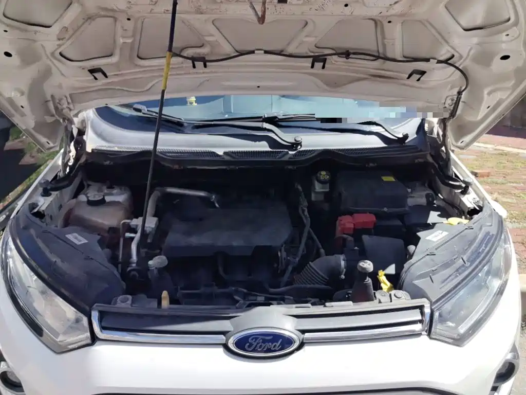 Ford Ecosport — миниатюра 21