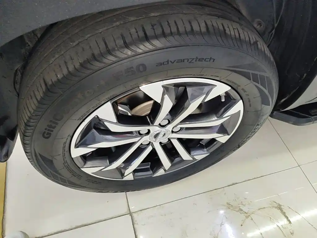 Haval Big Dog — миниатюра 23