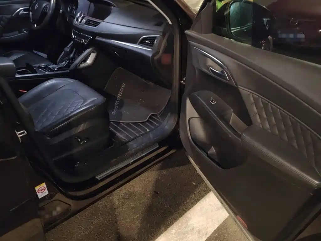 Borgward BX7 — миниатюра 19