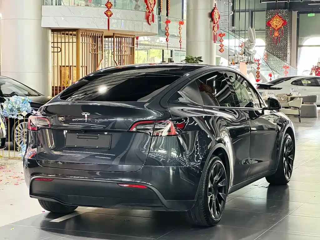 Tesla Model Y — миниатюра 9