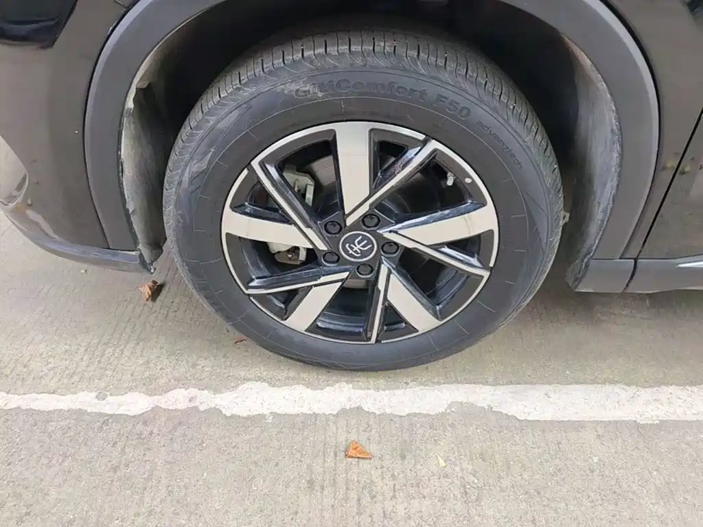 BYD Pro New Energy — миниатюра 23