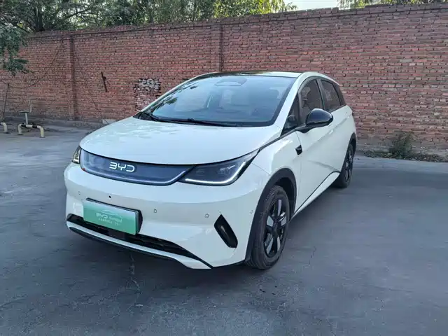 2025 BYD Dolphin