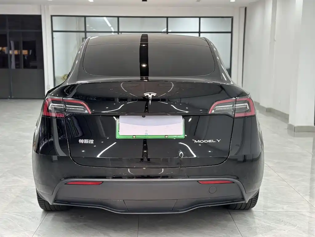 Tesla Model Y — миниатюра 5