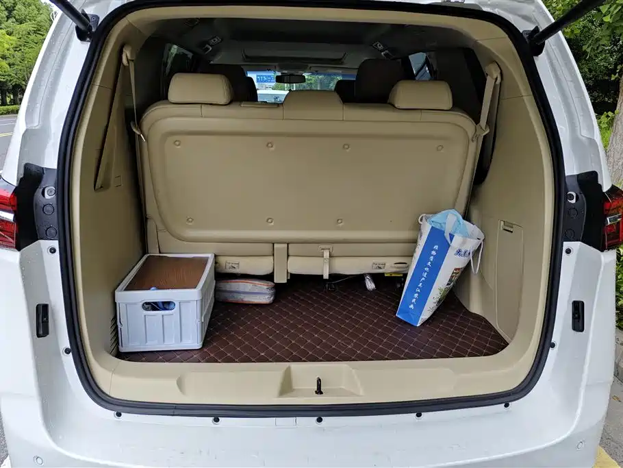Buick GL8 2023 Luxury