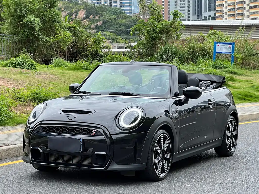 Mini Mini 2024