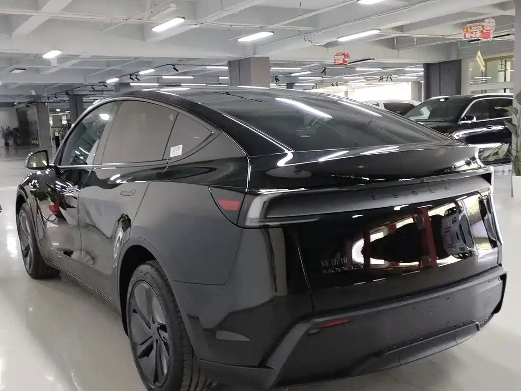 Tesla Model Y — миниатюра 7
