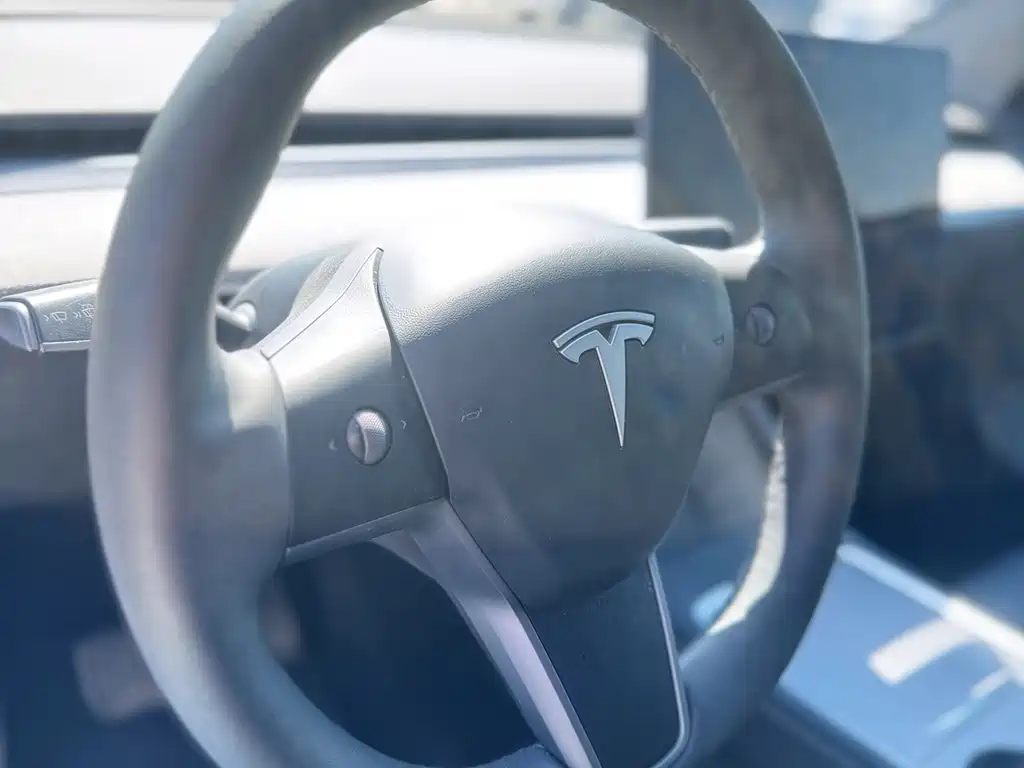 Tesla Model Y — миниатюра 11