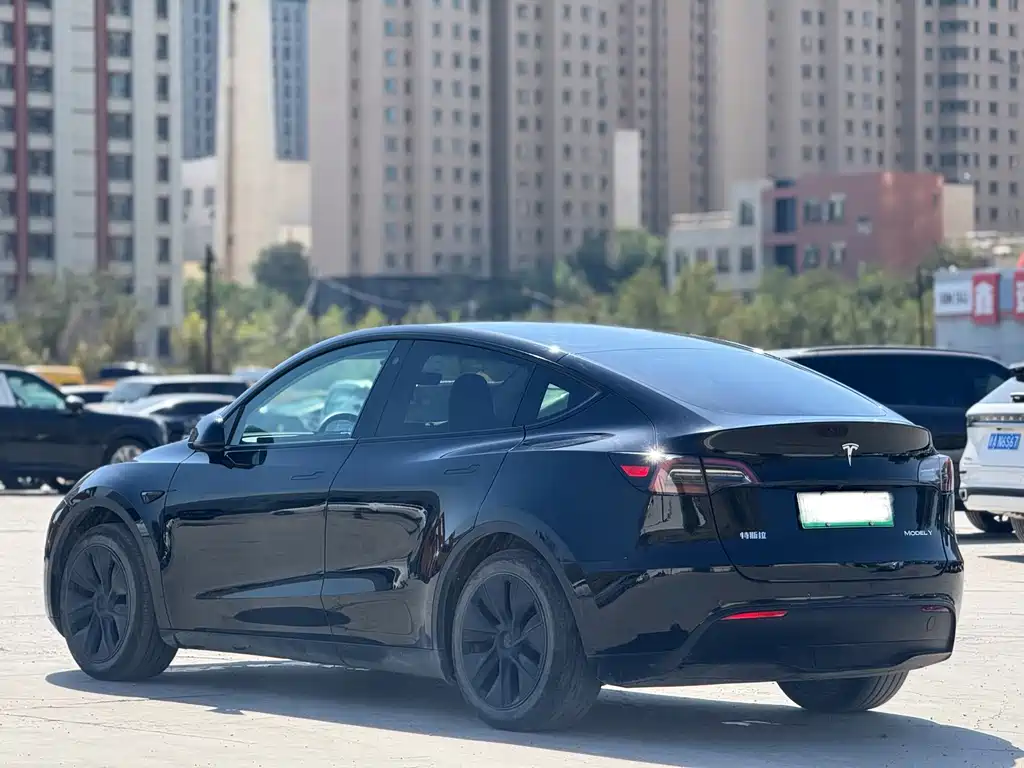 Tesla Model Y — миниатюра 7