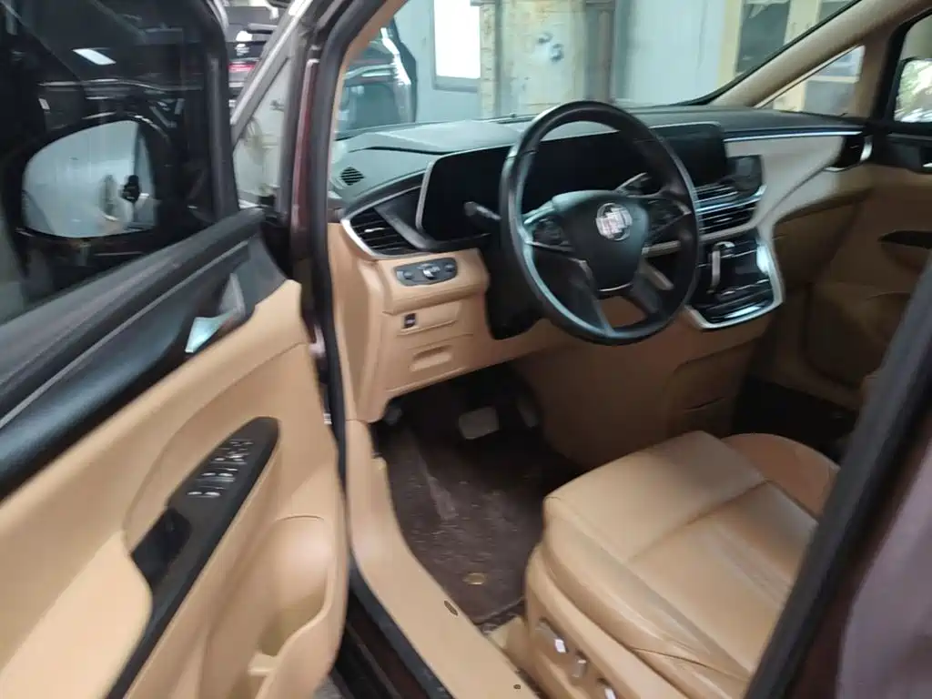 Buick GL8 — миниатюра 16