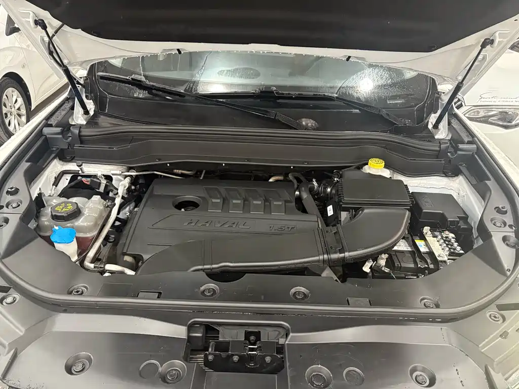 Haval H6 — миниатюра 3