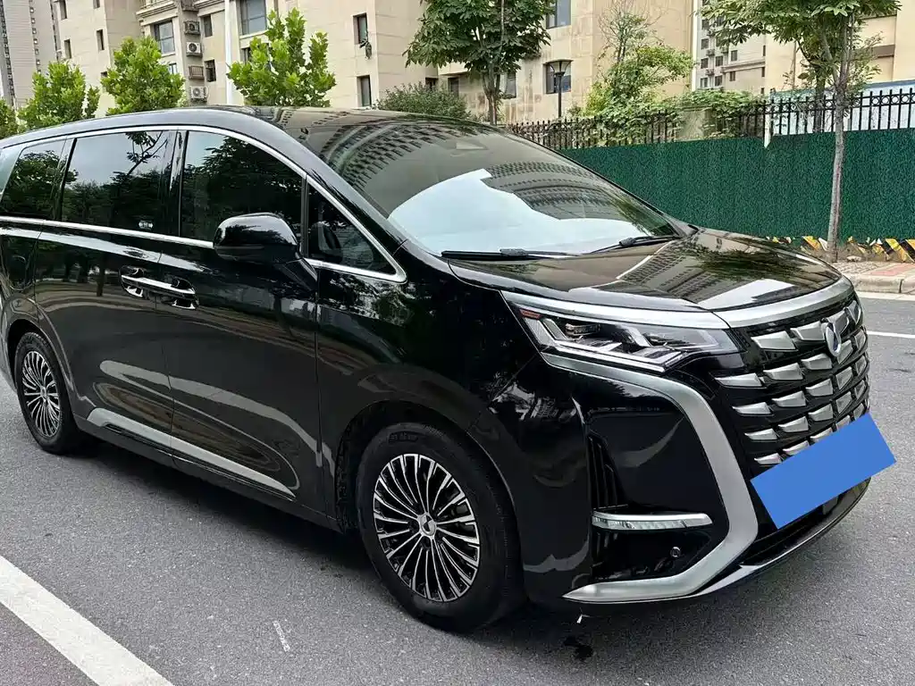 Denza Denza D9 — миниатюра 3