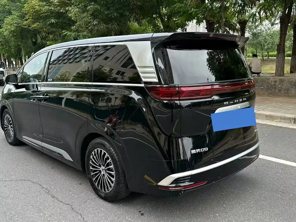 Denza Denza D9 — миниатюра 7