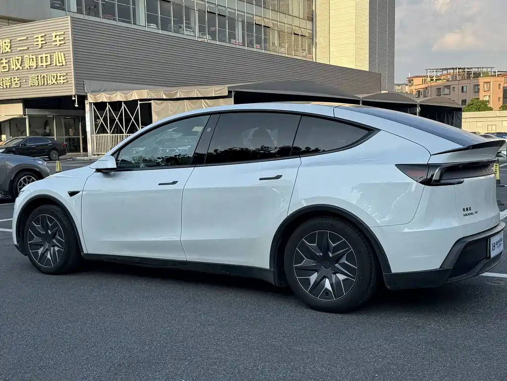 Tesla Model Y L — миниатюра 3