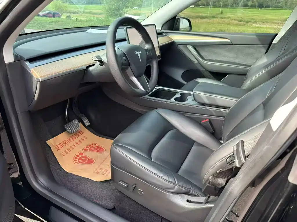 Tesla Model Y — миниатюра 4