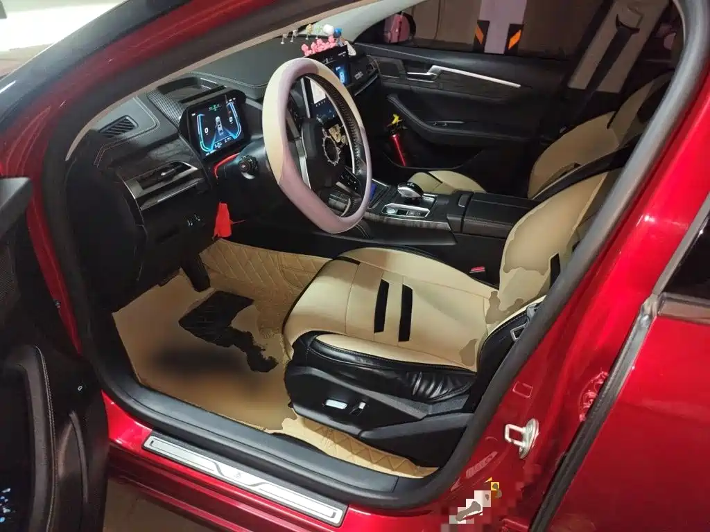 BYD Qin Pro NEV — миниатюра 12