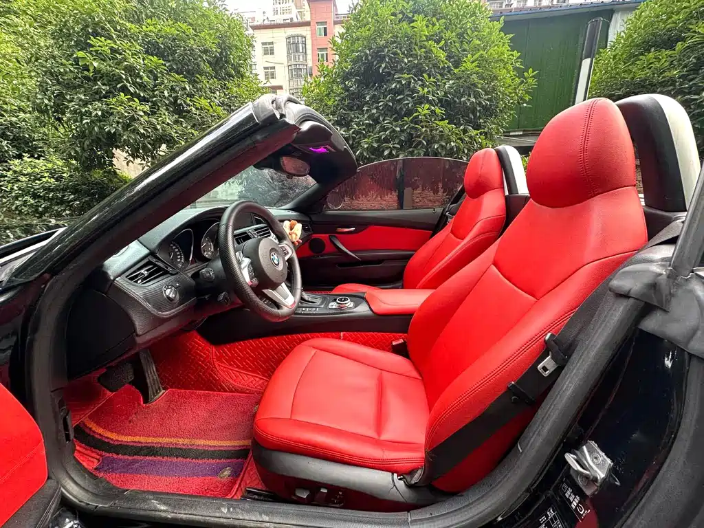 BMW Z4 2009 sDrive23i Lead