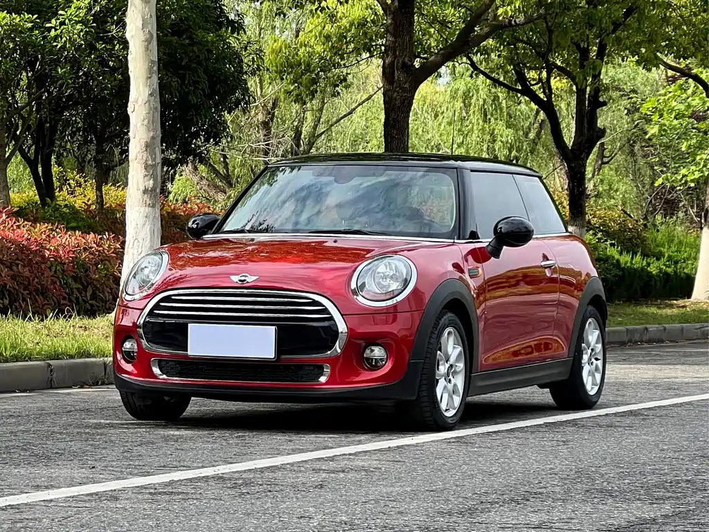 Mini Mini 2015