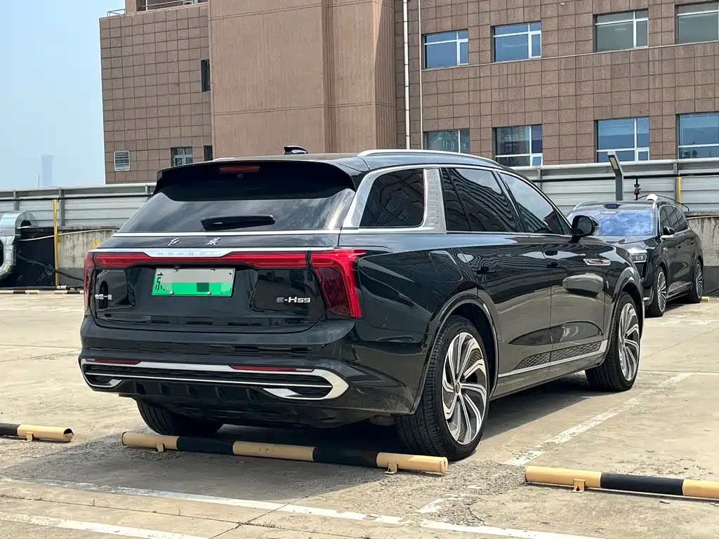 Hongqi E-HS9 2021 510km мест